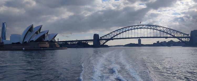 Picture Vidula- COM.EN