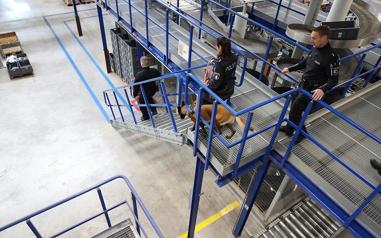 Picture_Polizeihunde Kaki