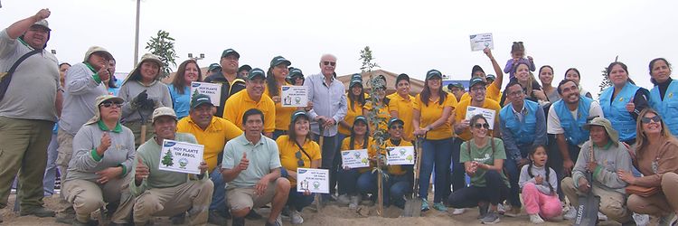 Jungheinrich Peru Image Map