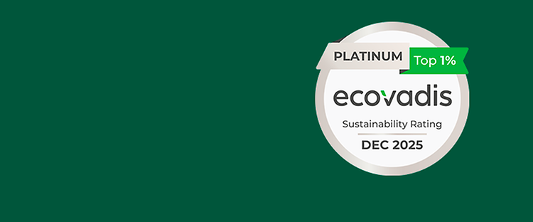 Jungheinrich Ecovadis 2025 