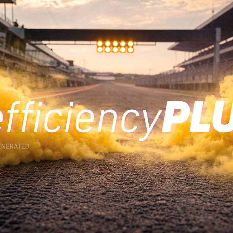 efficiencyPLUS Jungheinrich EFG 2i/3i
