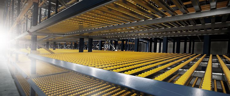 Stage rayonnage dynamique (1)