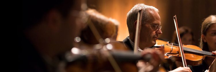 Content Digitalizzazione & collegamenti