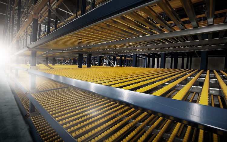 Stage Scaffalatura drive-through (1)