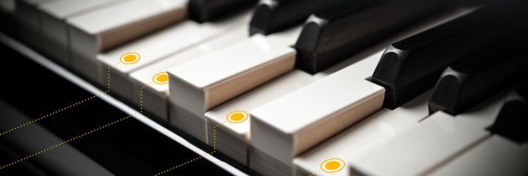 Content Digitalisierung & Vernetzung (2)