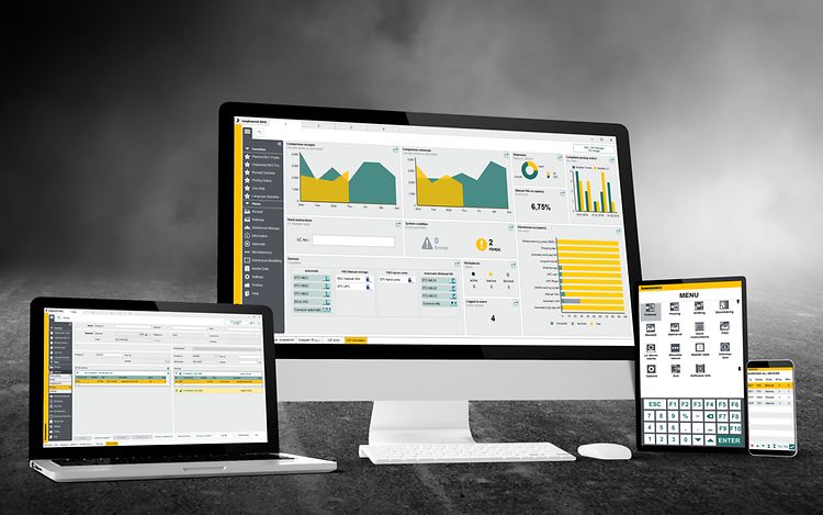Warehouse management system, WMS