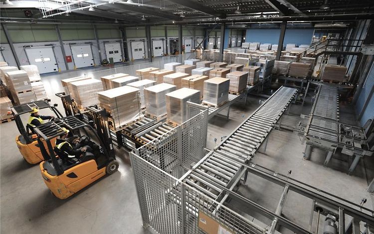 case study iaponiki picture