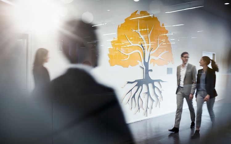 Stage responsabilidad