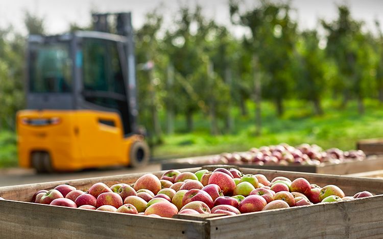 Stage responsabilidad medio ambiente