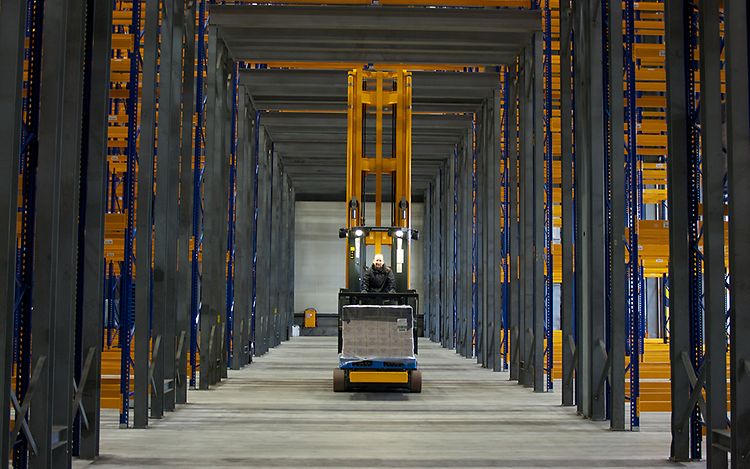 picture case study adolf grüninger