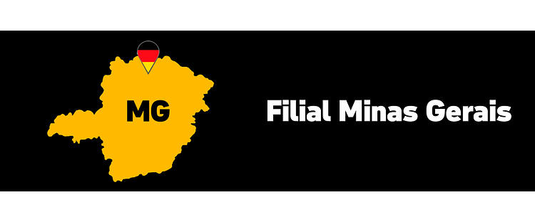 Stage + filial minas