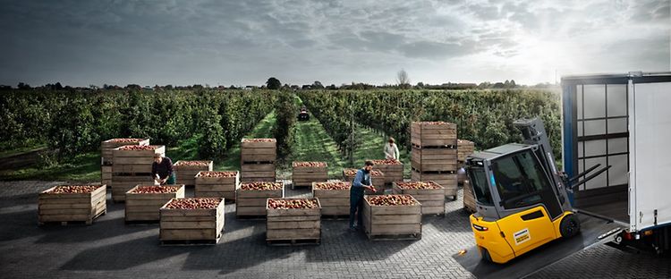 50 Sustainability & Climate Leaders