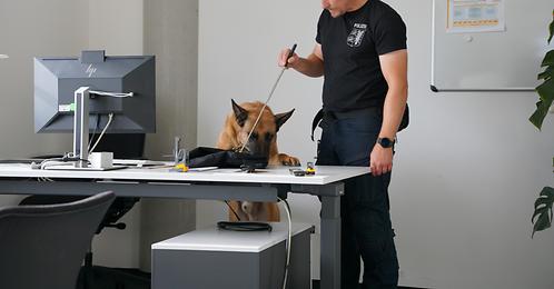 Picture_Police dogs 6